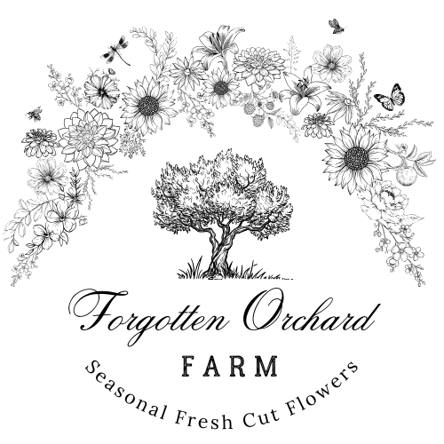 Forgotten Orchard Farm